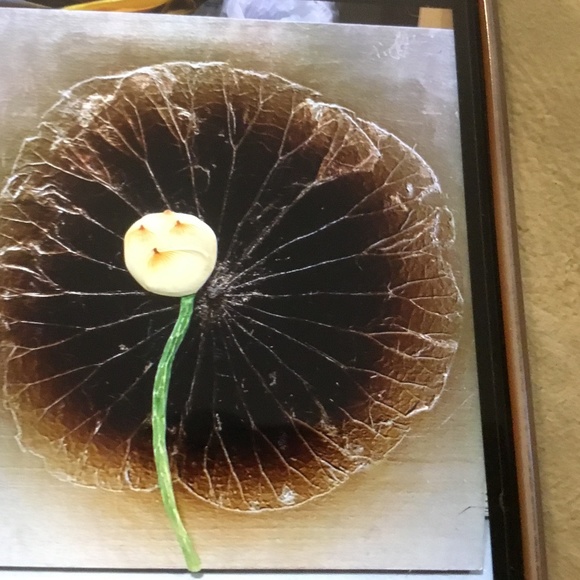 Pictures and vase for sale - Picture 6 of 7